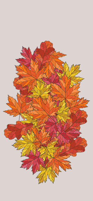 Colorful Fall Leaves Wallpaper for iPhone