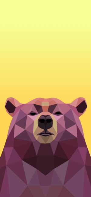 Geometric Bear Wallpaper for iPhone