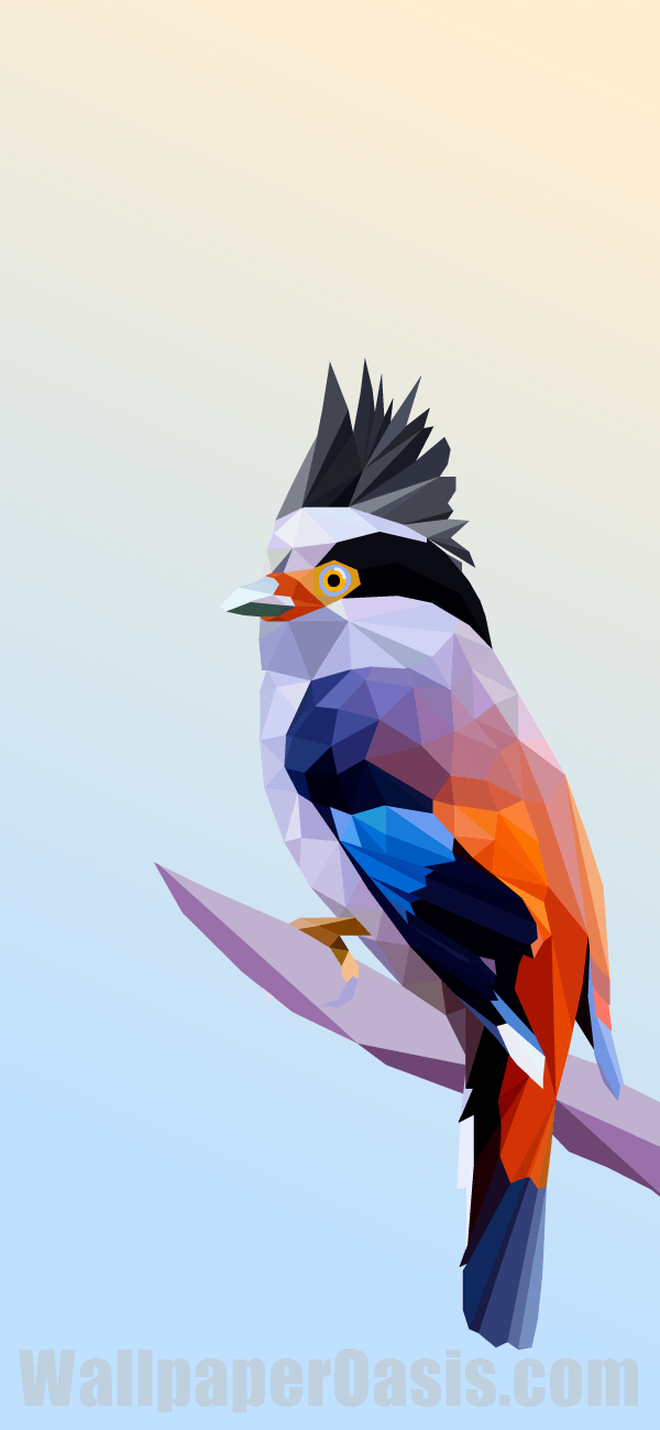 Geometric Bird iPhone Wallpaper - available for iPhone 5 through iPhone X