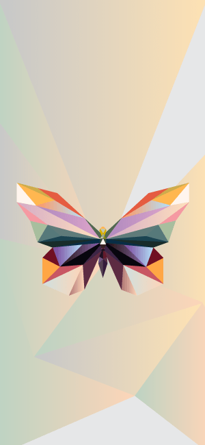 Geometric Butterfly Wallpaper for iPhone