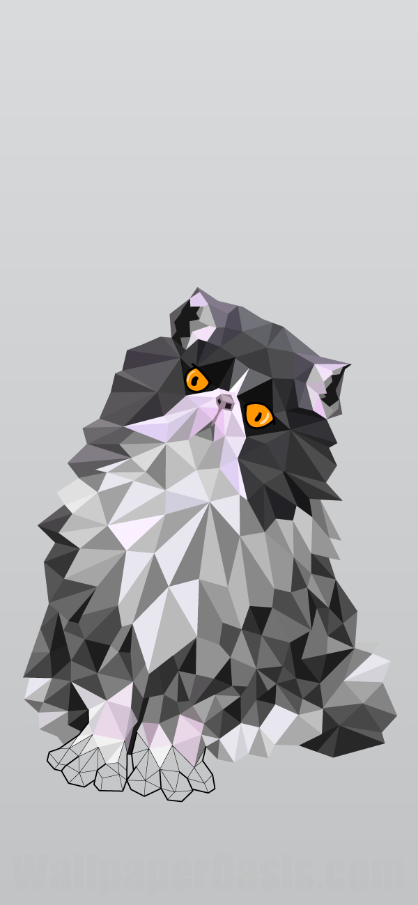 Geometric Cat iPhone Wallpaper - available for iPhone 5 through iPhone X