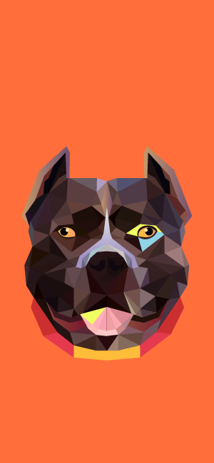 Geometric Dog Wallpaper for iPhone