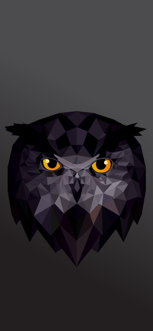 Geometric Owl Wallpaper for iPhone