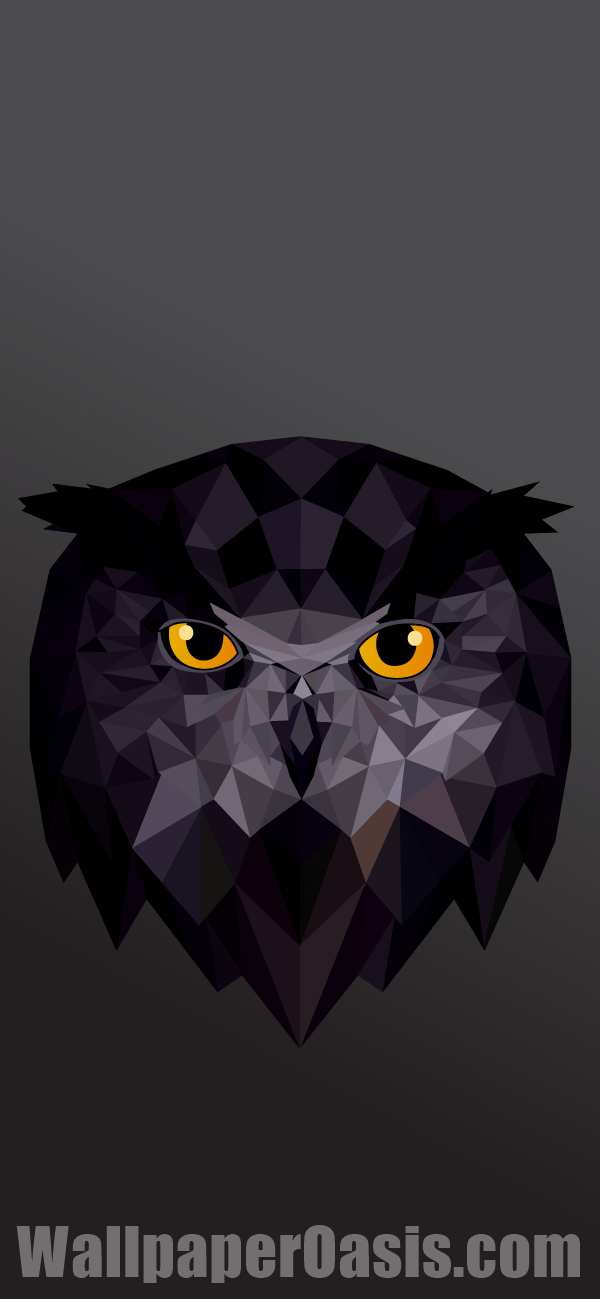 Geometric Owl iPhone Wallpaper