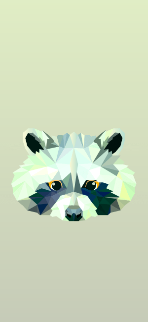 Geometric Raccoon Wallpaper for iPhone