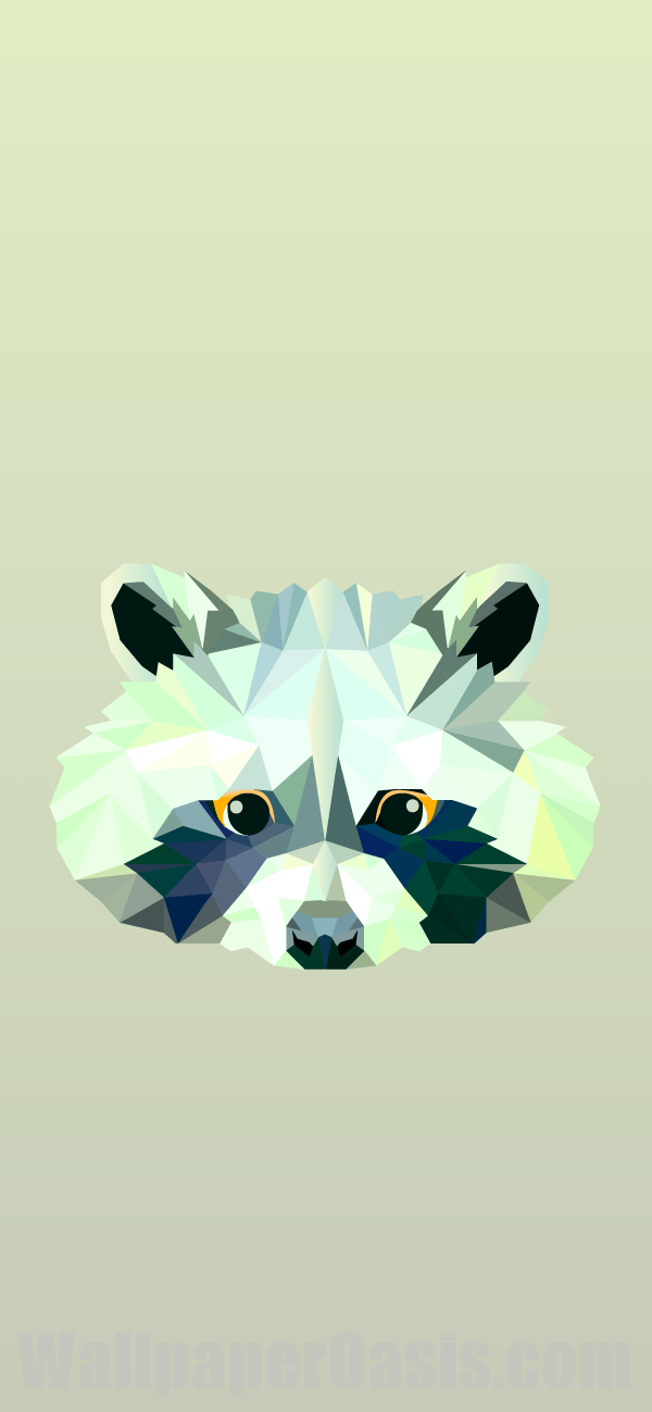 Geometric Raccoon iPhone Wallpaper - available for iPhone 5 through iPhone X