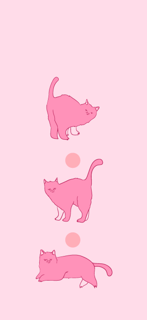 Pink Cat Wallpaper for iPhone