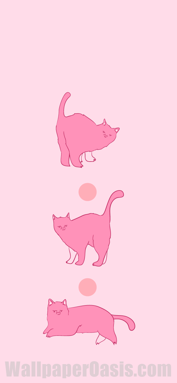 Pink Cat iPhone Wallpaper - available for iPhone 5 through iPhone X