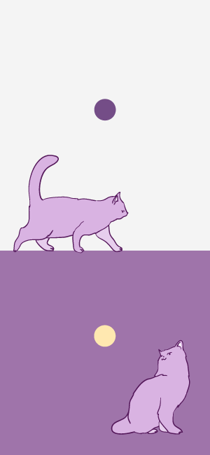 Purple Cat Wallpaper for iPhone