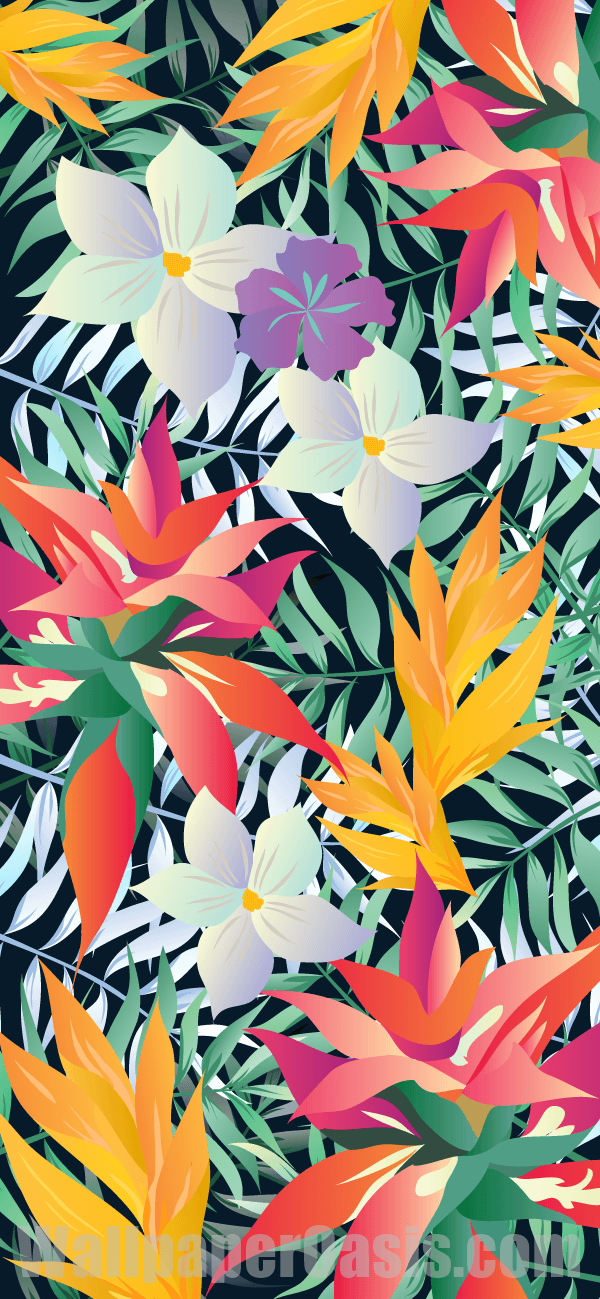 Tropical Flower iPhone Wallpaper - available for iPhone 5 through iPhone X
